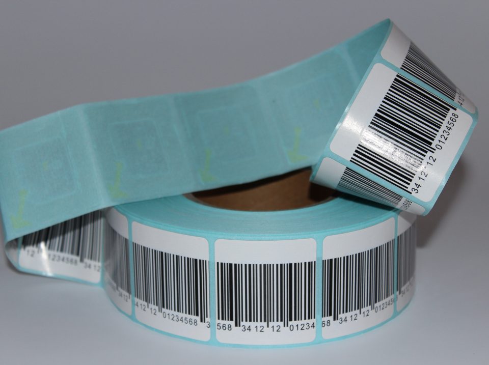 IMG_7916-min IMG_7916-min