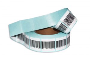 IMG_7931-min IMG_7931-min