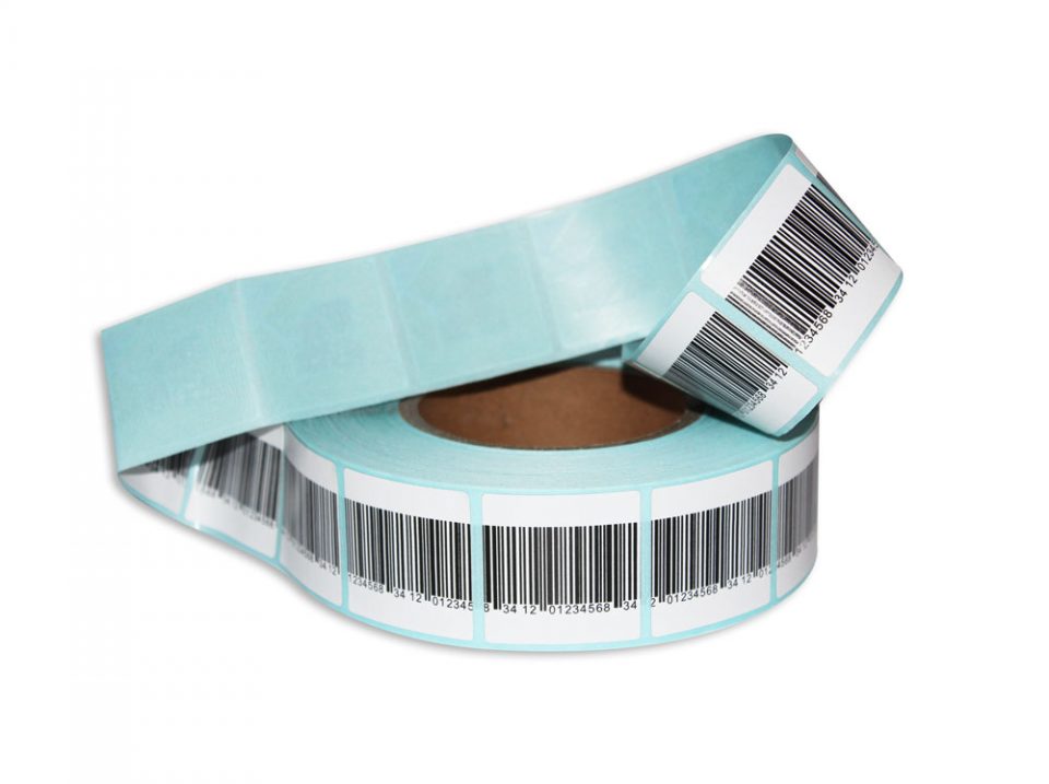 IMG_7931-min IMG_7931-min