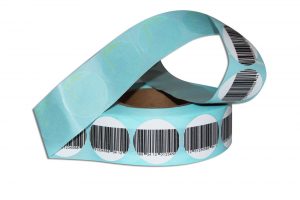 IMG_7960-min IMG_7960-min