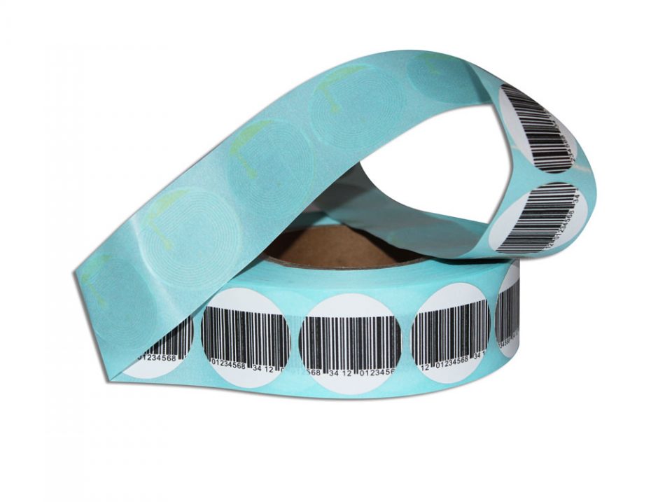 IMG_7960-min IMG_7960-min