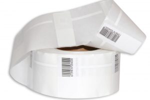 IMG_7974-min IMG_7974-min