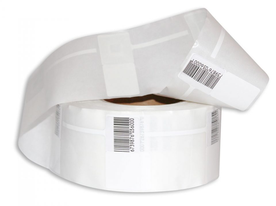 IMG_7974-min IMG_7974-min